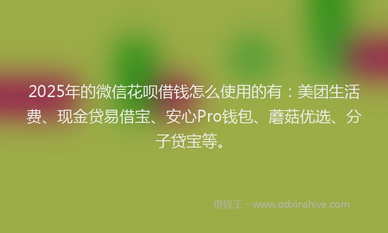 2025年的微信花呗借钱怎么使用的有：美团生活费、现金贷易借宝、安心Pro钱包、蘑菇优选、分子贷宝等。
