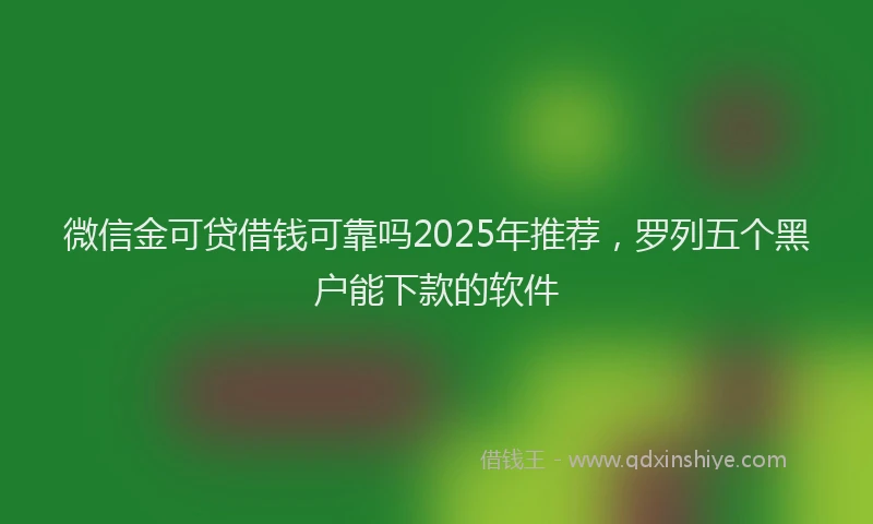 微信金可贷借钱可靠吗2025年推荐，罗列五个黑户能下款的软件