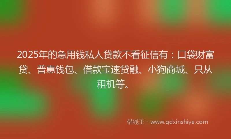 2025年的急用钱私人贷款不看征信有：口袋财富贷、普惠钱包、借款宝速贷融、小狗商城、只从租机等。