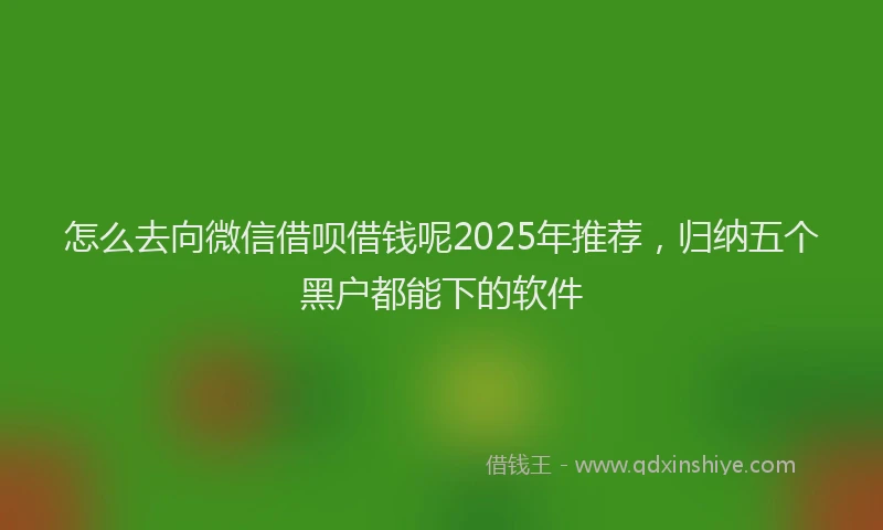 怎么去向微信借呗借钱呢2025年推荐，归纳五个黑户都能下的软件