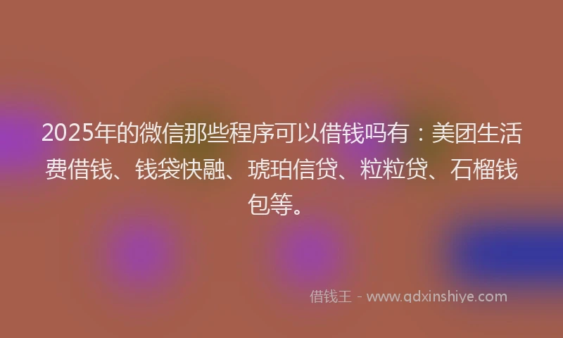 2025年的微信那些程序可以借钱吗有：美团生活费借钱、钱袋快融、琥珀信贷、粒粒贷、石榴钱包等。