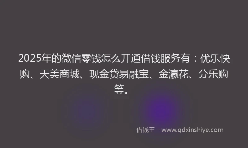 2025年的微信零钱怎么开通借钱服务有：优乐快购、天美商城、现金贷易融宝、金瀛花、分乐购等。