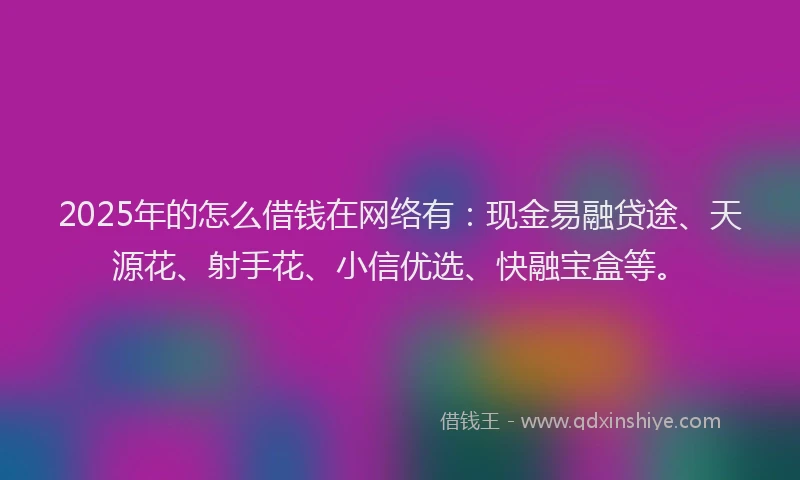 2025年的怎么借钱在网络有：现金易融贷途、天源花、射手花、小信优选、快融宝盒等。