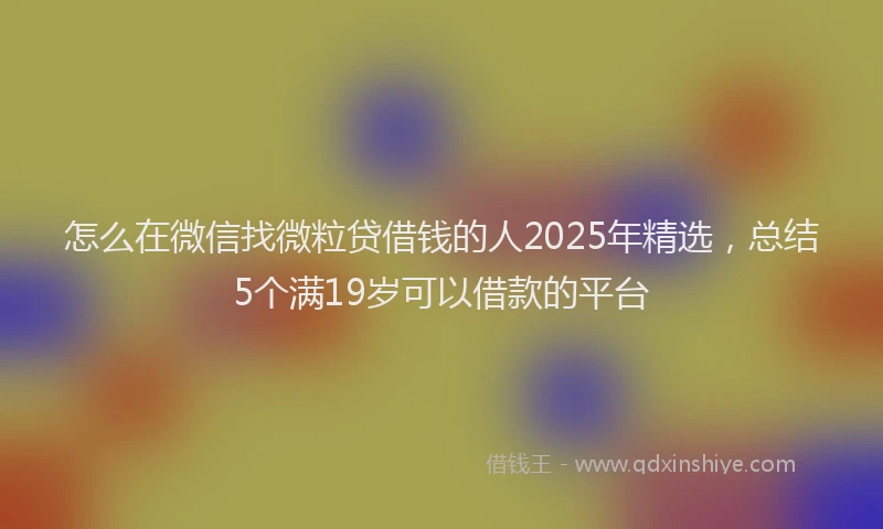 怎么在微信找微粒贷借钱的人2025年精选，总结5个满19岁可以借款的平台