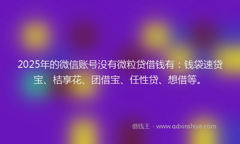 2025年的微信账号没有微粒贷借钱有：钱袋速贷宝、桔享花、团借宝、任性贷、想借等。