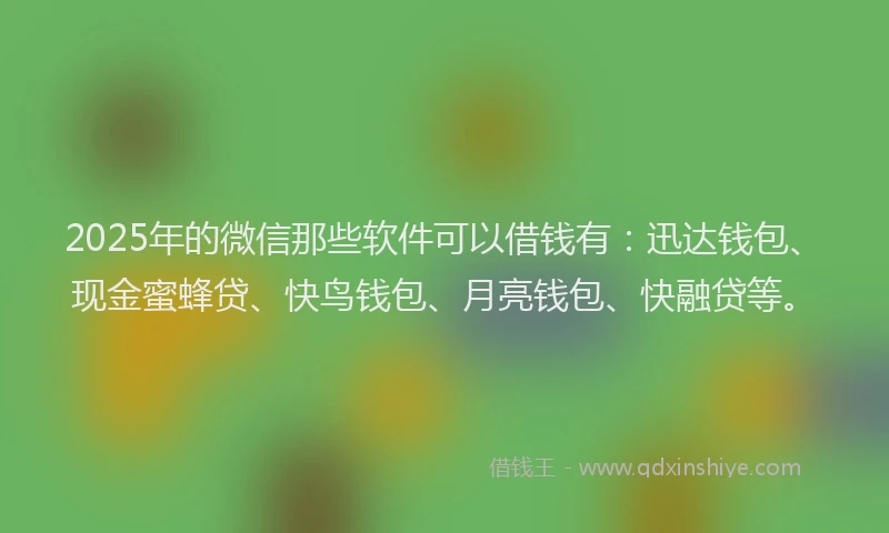 2025年的微信那些软件可以借钱有：迅达钱包、现金蜜蜂贷、快鸟钱包、月亮钱包、快融贷等。