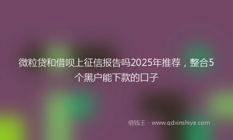 微粒贷和借呗上征信报告吗2025年推荐，整合5个黑户能下款的口子