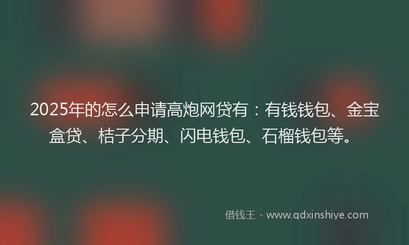 2025年的怎么申请高炮网贷有：有钱钱包、金宝盒贷、桔子分期、闪电钱包、石榴钱包等。