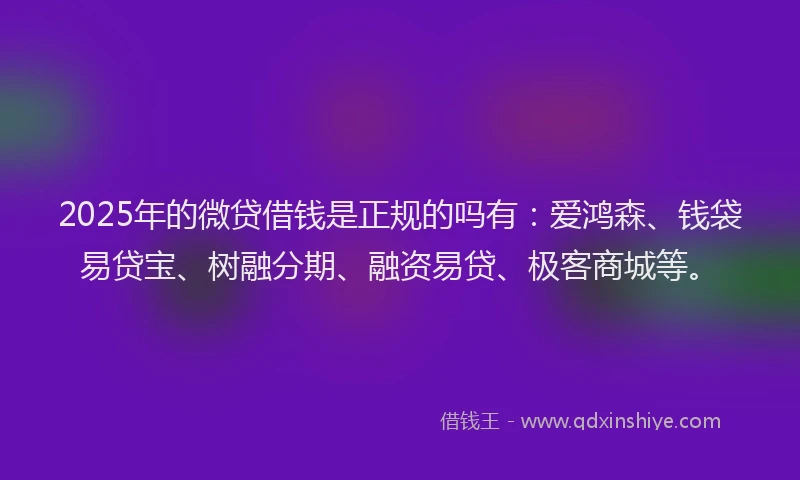 2025年的微贷借钱是正规的吗有：爱鸿森、钱袋易贷宝、树融分期、融资易贷、极客商城等。