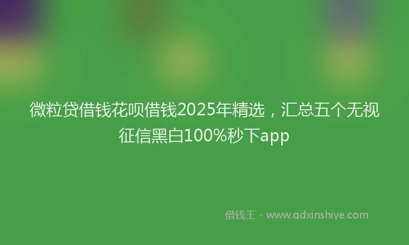 微粒贷借钱花呗借钱2025年精选，汇总五个无视征信黑白100%秒下app