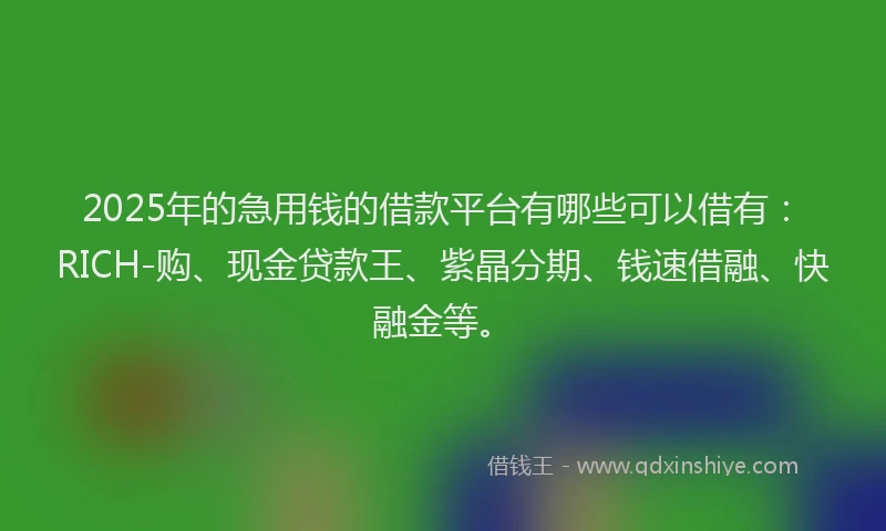 2025年的急用钱的借款平台有哪些可以借有：RICH-购、现金贷款王、紫晶分期、钱速借融、快融金等。