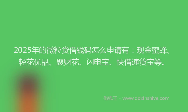 2025年的微粒贷借钱码怎么申请有：现金蜜蜂、轻花优品、聚财花、闪电宝、快借速贷宝等。