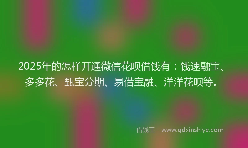 2025年的怎样开通微信花呗借钱有：钱速融宝、多多花、甄宝分期、易借宝融、洋洋花呗等。