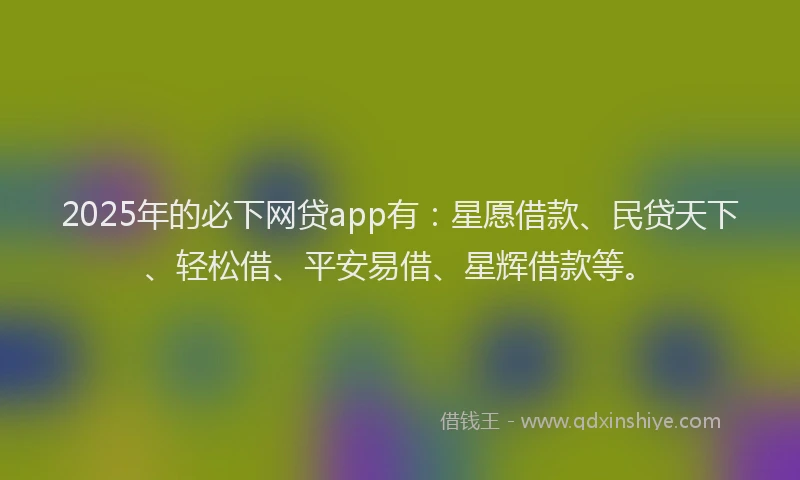 2025年的必下网贷app有：星愿借款、民贷天下、轻松借、平安易借、星辉借款等。
