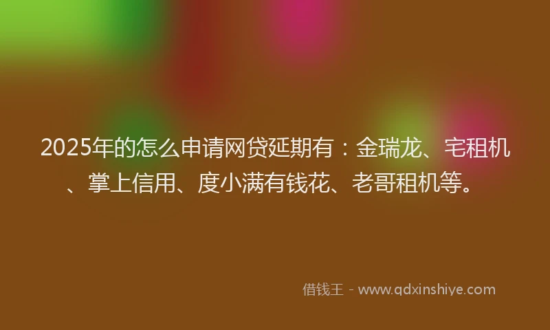 2025年的怎么申请网贷延期有：金瑞龙、宅租机、掌上信用、度小满有钱花、老哥租机等。