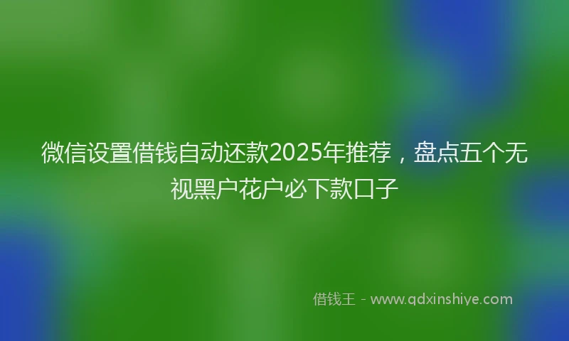 微信设置借钱自动还款2025年推荐，盘点五个无视黑户花户必下款口子