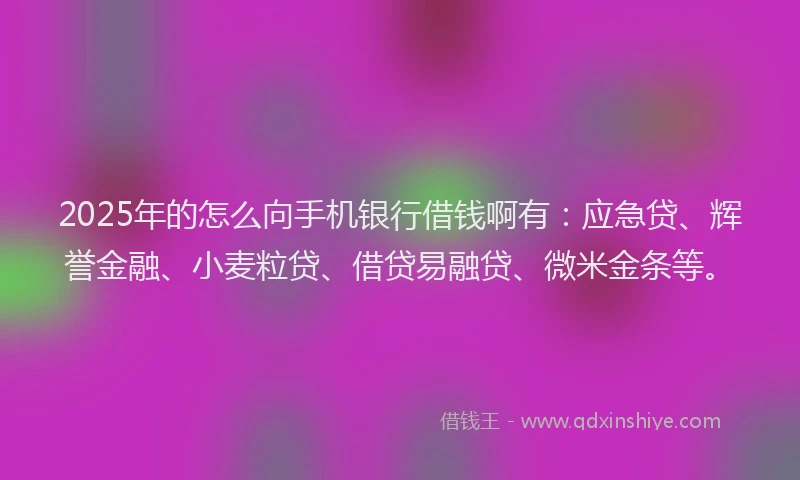 2025年的怎么向手机银行借钱啊有：应急贷、辉誉金融、小麦粒贷、借贷易融贷、微米金条等。