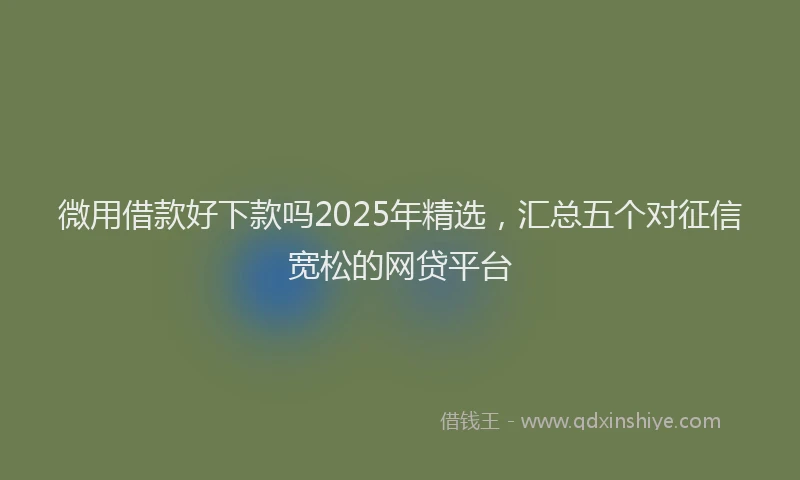 微用借款好下款吗2025年精选，汇总五个对征信宽松的网贷平台