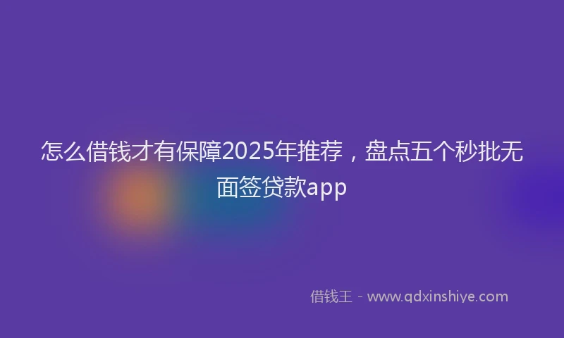 怎么借钱才有保障2025年推荐，盘点五个秒批无面签贷款app