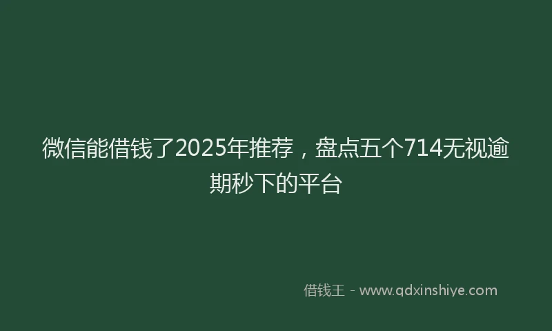 微信能借钱了2025年推荐，盘点五个714无视逾期秒下的平台