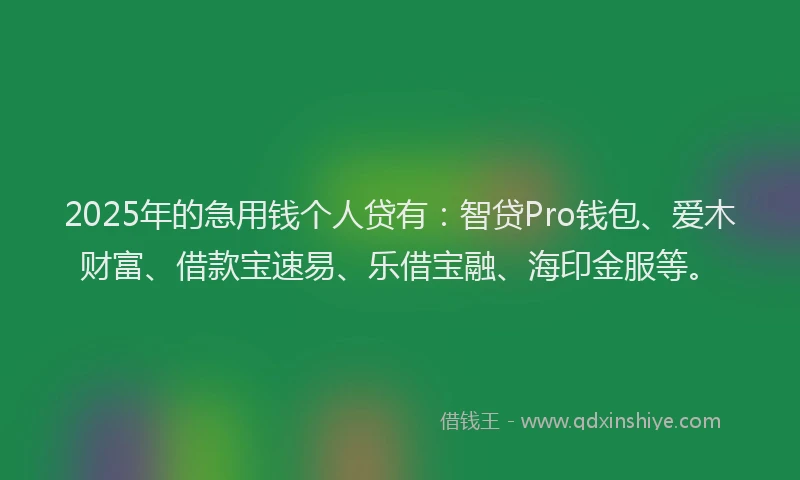 2025年的急用钱个人贷有：智贷Pro钱包、爱木财富、借款宝速易、乐借宝融、海印金服等。