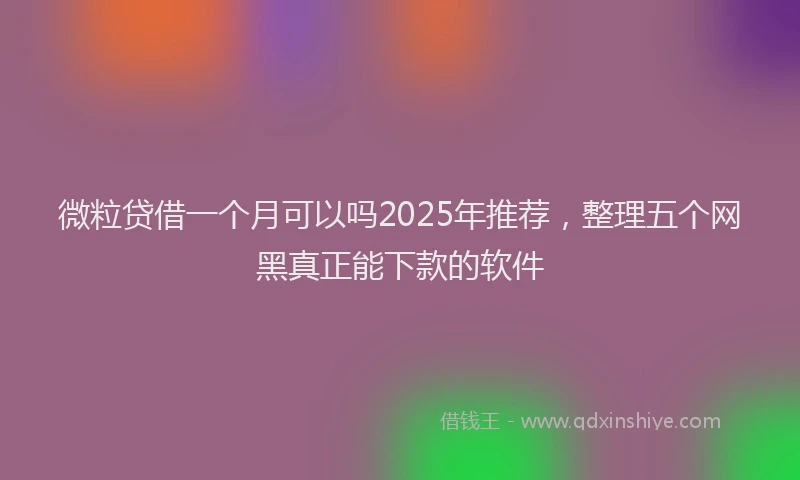 微粒贷借一个月可以吗2025年推荐，整理五个网黑真正能下款的软件
