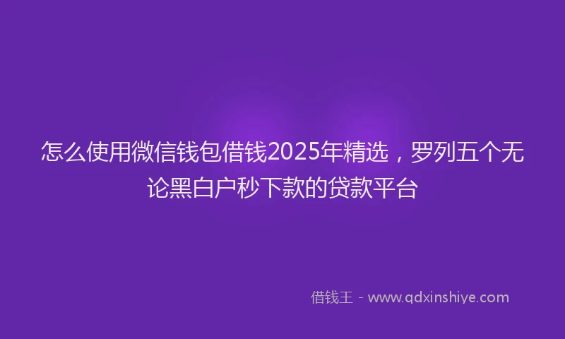 怎么使用微信钱包借钱2025年精选，罗列五个无论黑白户秒下款的贷款平台