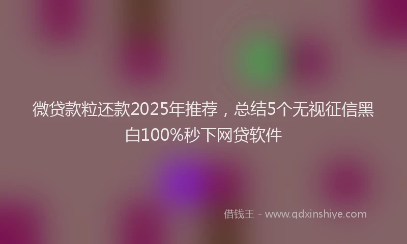 微贷款粒还款2025年推荐，总结5个无视征信黑白100%秒下网贷软件