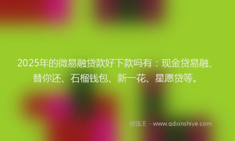 2025年的微易融贷款好下款吗有：现金贷易融、替你还、石榴钱包、新一花、星愿贷等。