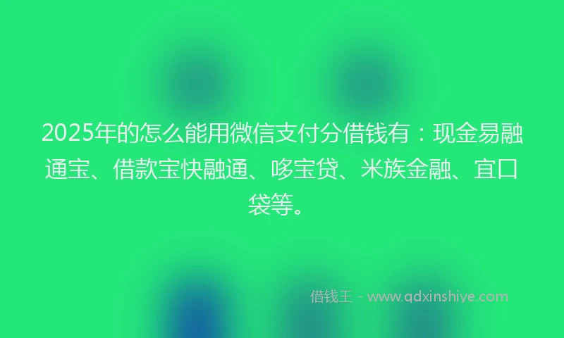 2025年的怎么能用微信支付分借钱有：现金易融通宝、借款宝快融通、哆宝贷、米族金融、宜口袋等。