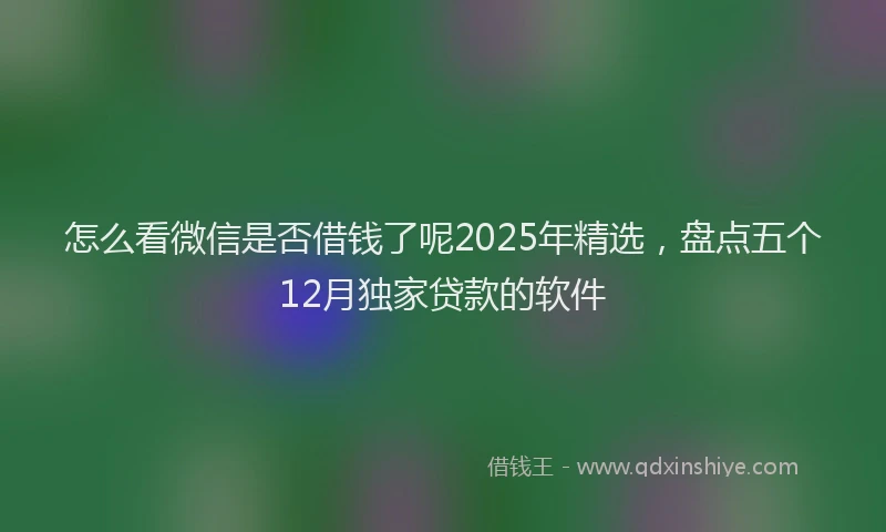 怎么看微信是否借钱了呢2025年精选，盘点五个12月独家贷款的软件
