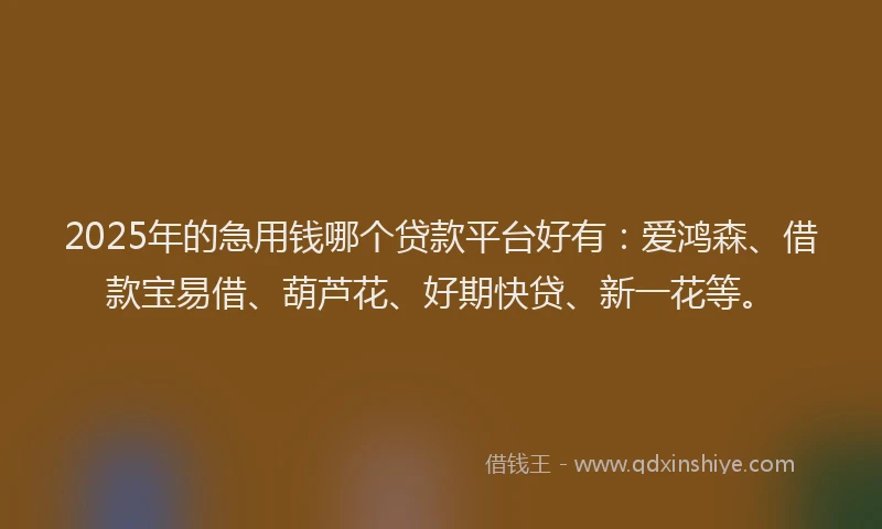 2025年的急用钱哪个贷款平台好有：爱鸿森、借款宝易借、葫芦花、好期快贷、新一花等。