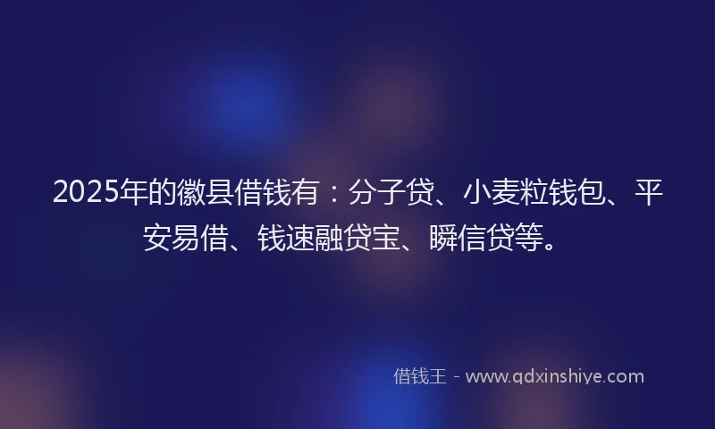2025年的徽县借钱有：分子贷、小麦粒钱包、平安易借、钱速融贷宝、瞬信贷等。