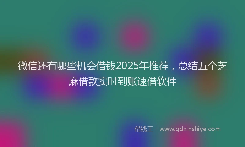 微信还有哪些机会借钱2025年推荐，总结五个芝麻借款实时到账速借软件
