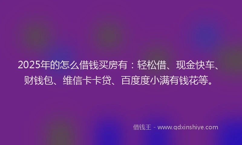 2025年的怎么借钱买房有：轻松借、现金快车、财钱包、维信卡卡贷、百度度小满有钱花等。