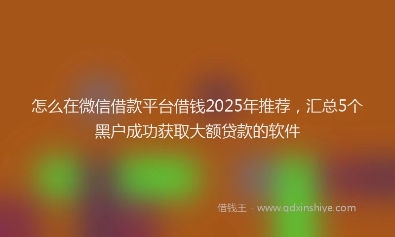 怎么在微信借款平台借钱2025年推荐，汇总5个黑户成功获取大额贷款的软件