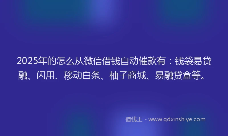 2025年的怎么从微信借钱自动催款有：钱袋易贷融、闪用、移动白条、柚子商城、易融贷盒等。