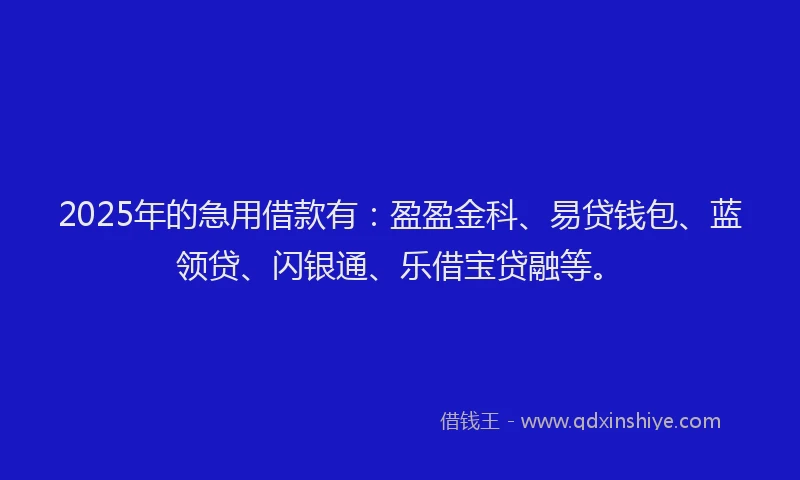 2025年的急用借款有：盈盈金科、易贷钱包、蓝领贷、闪银通、乐借宝贷融等。