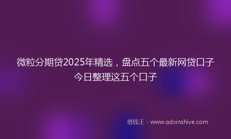 微粒分期贷2025年精选，盘点五个最新网贷口子今日整理这五个口子