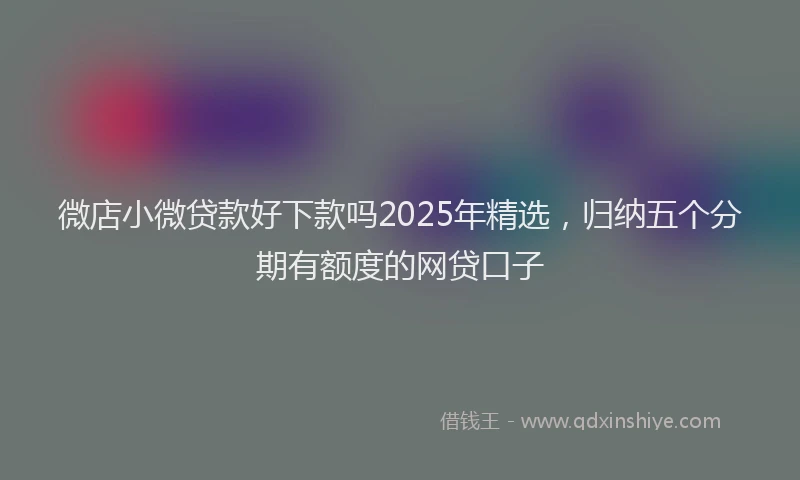 微店小微贷款好下款吗2025年精选，归纳五个分期有额度的网贷口子