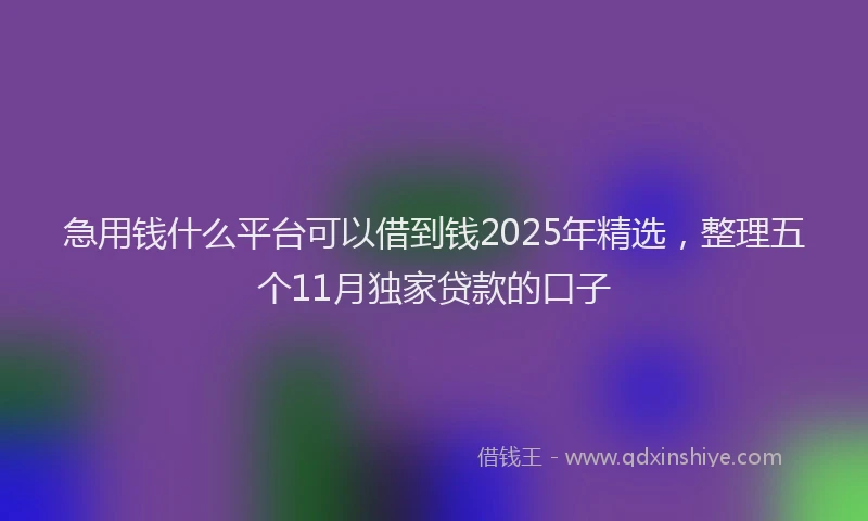 急用钱什么平台可以借到钱2025年精选，整理五个11月独家贷款的口子