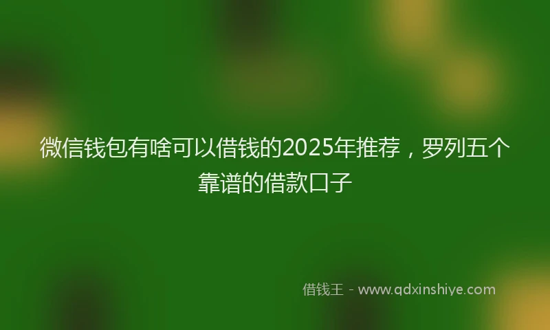 微信钱包有啥可以借钱的2025年推荐，罗列五个靠谱的借款口子
