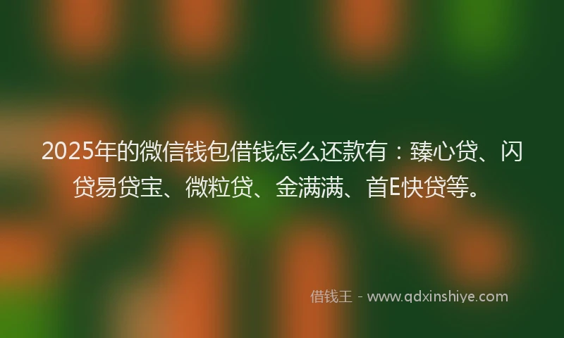 2025年的微信钱包借钱怎么还款有：臻心贷、闪贷易贷宝、微粒贷、金满满、首E快贷等。