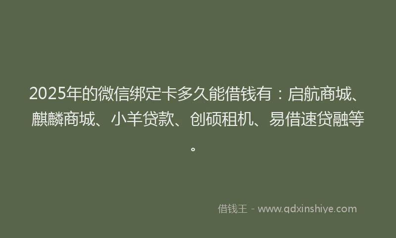 2025年的微信绑定卡多久能借钱有：启航商城、麒麟商城、小羊贷款、创硕租机、易借速贷融等。