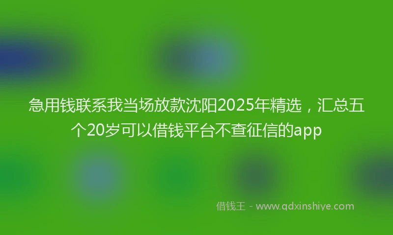 急用钱联系我当场放款沈阳2025年精选，汇总五个20岁可以借钱平台不查征信的app