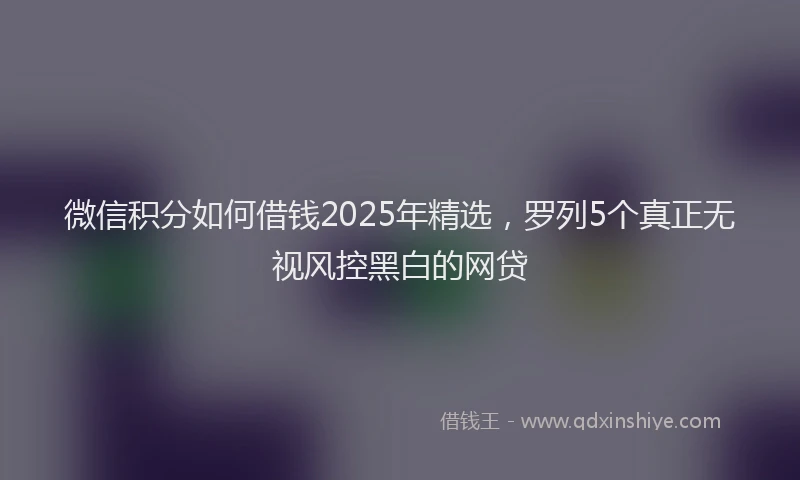 微信积分如何借钱2025年精选，罗列5个真正无视风控黑白的网贷