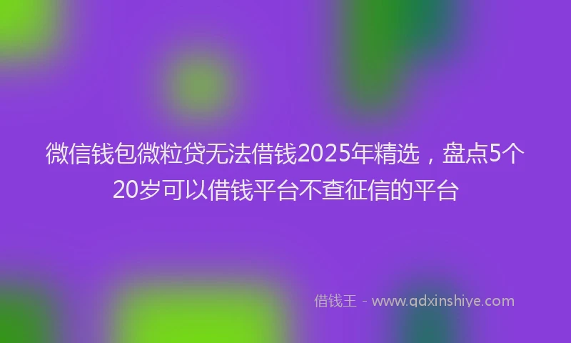 微信钱包微粒贷无法借钱2025年精选，盘点5个20岁可以借钱平台不查征信的平台