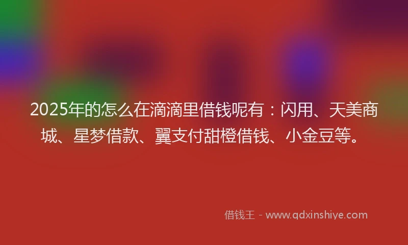 2025年的怎么在滴滴里借钱呢有：闪用、天美商城、星梦借款、翼支付甜橙借钱、小金豆等。