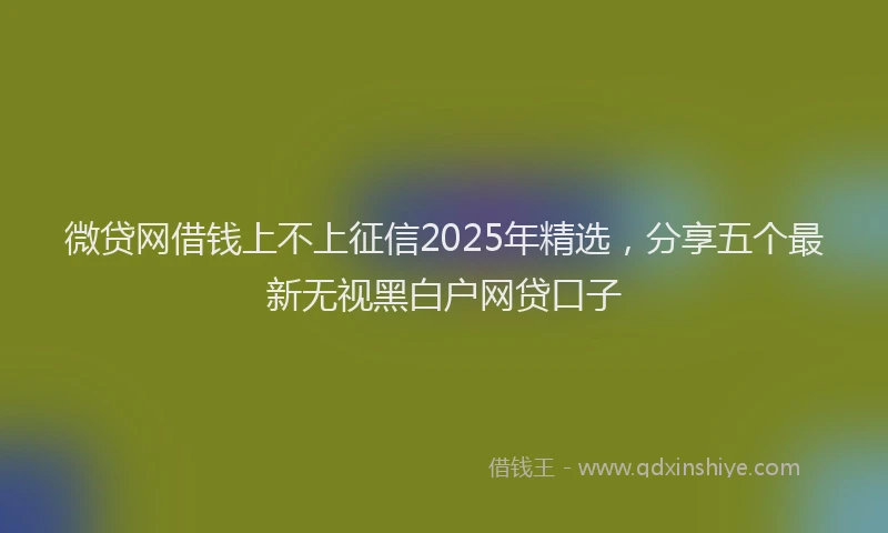微贷网借钱上不上征信2025年精选，分享五个最新无视黑白户网贷口子