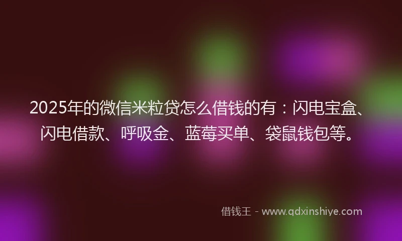 2025年的微信米粒贷怎么借钱的有：闪电宝盒、闪电借款、呼吸金、蓝莓买单、袋鼠钱包等。